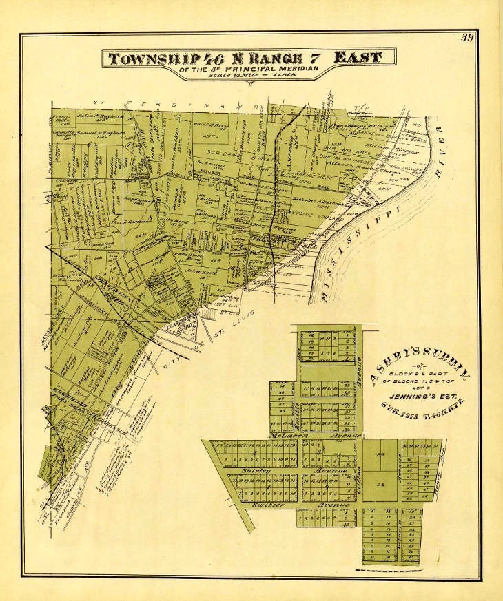 1893 SURVEY TOWNSHIP MAP 