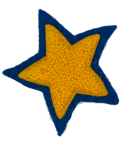 CHERYL NIEBUR'S CAPTAIN'S STAR