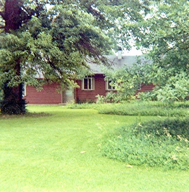 FRONT YARD OF 10444 TOELLE LANE (DAVID MANNING'S HOUSE) IN 1969. The shingle oak on the left is the tree that fell on and destroyed the house a decade or so later. MANNING FAMILY COLLECTION