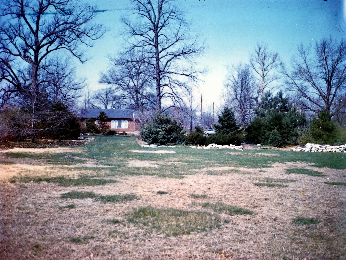 BACKYARD OF 10444 TOELLE LANE (DAVID MANNING'S HOUSE) IN 1969. MANNING FAMILY COLLECTION